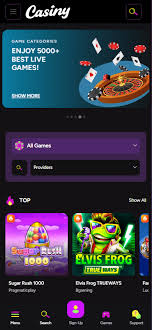 Discover the Thrills and Rewards of Casiny Casino